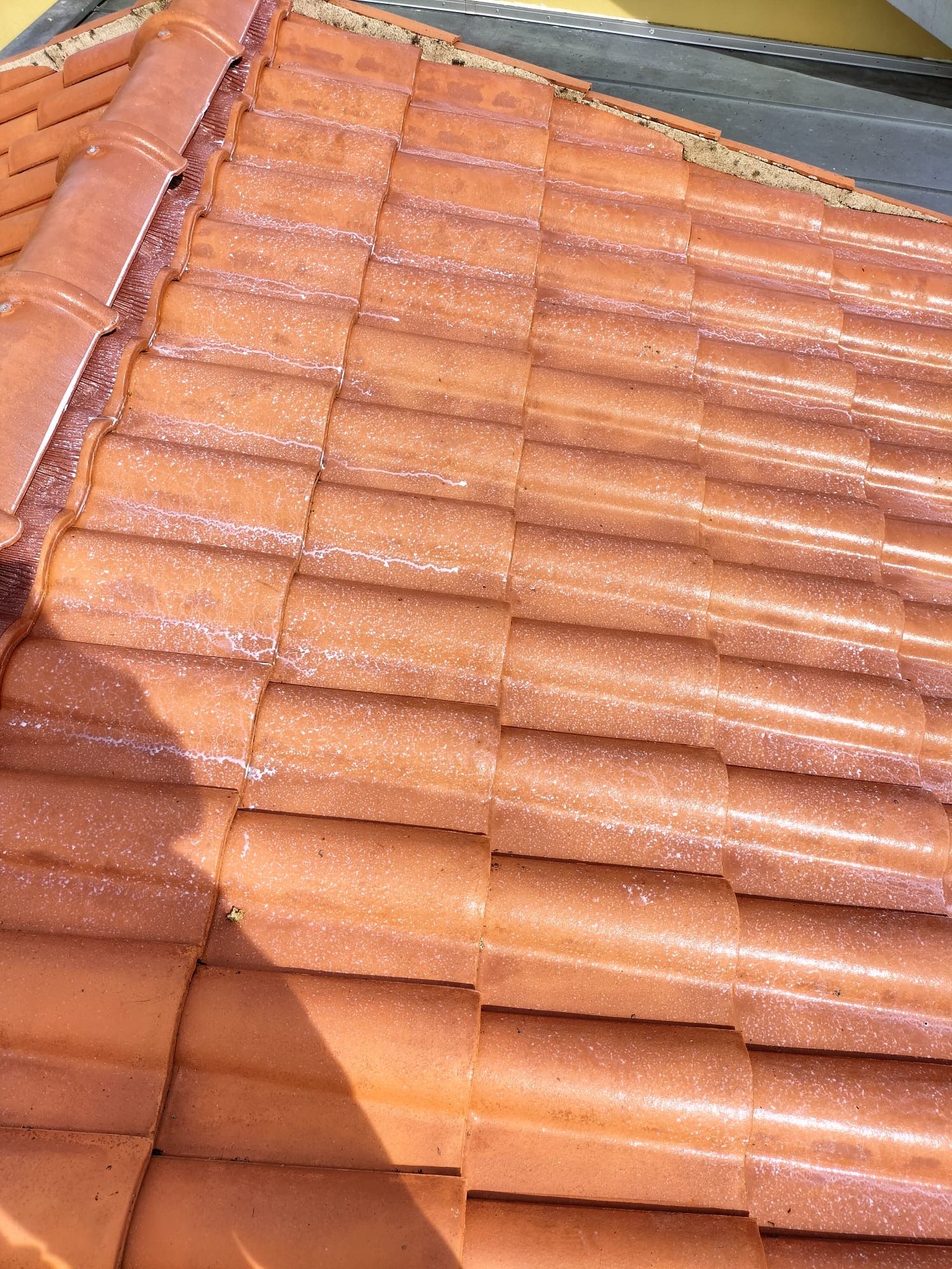 Démoussage de toiture